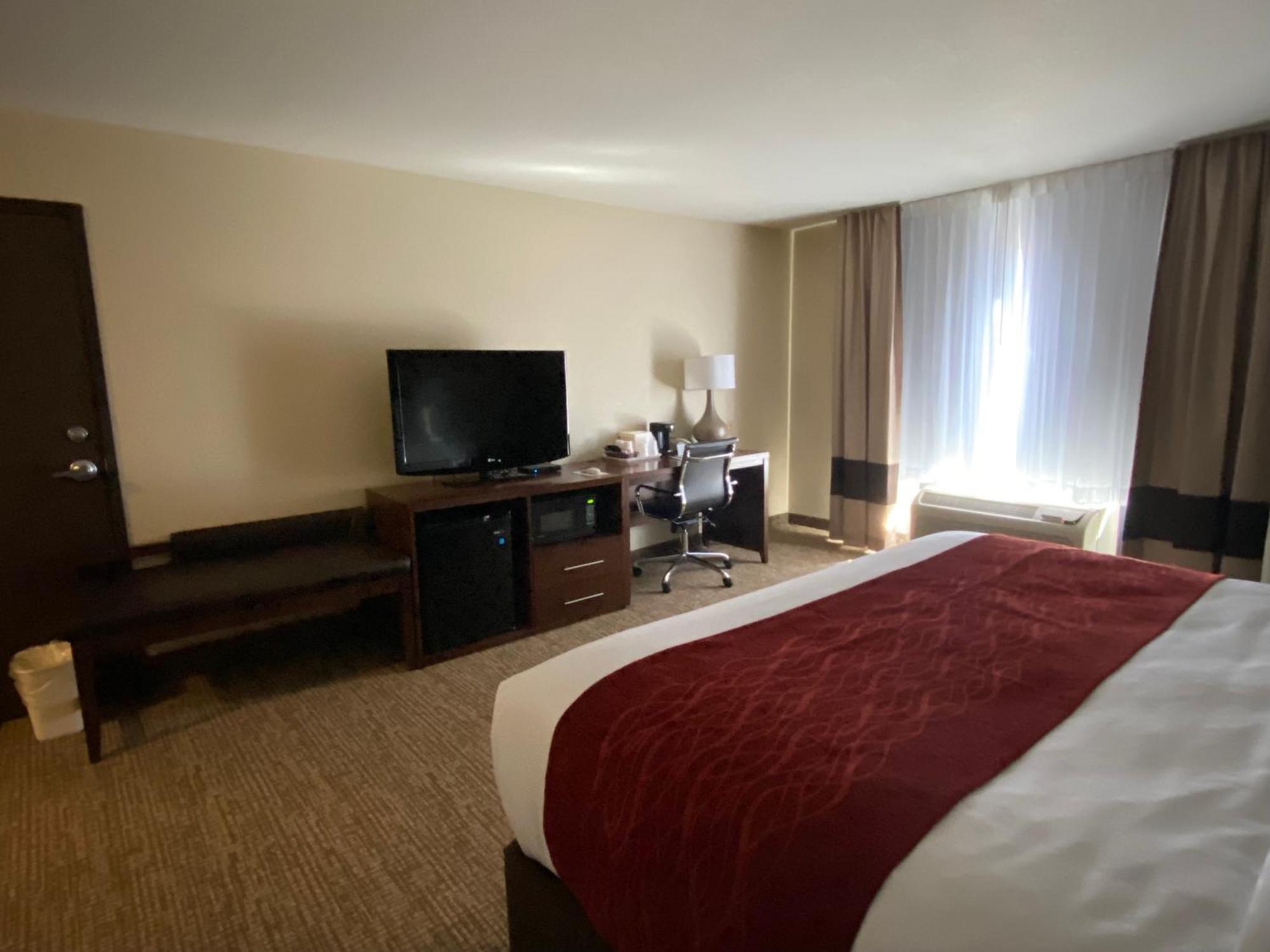Comfort & Hotel
